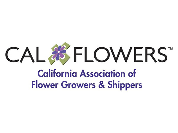 Cal Flowers Logo B Alt 
